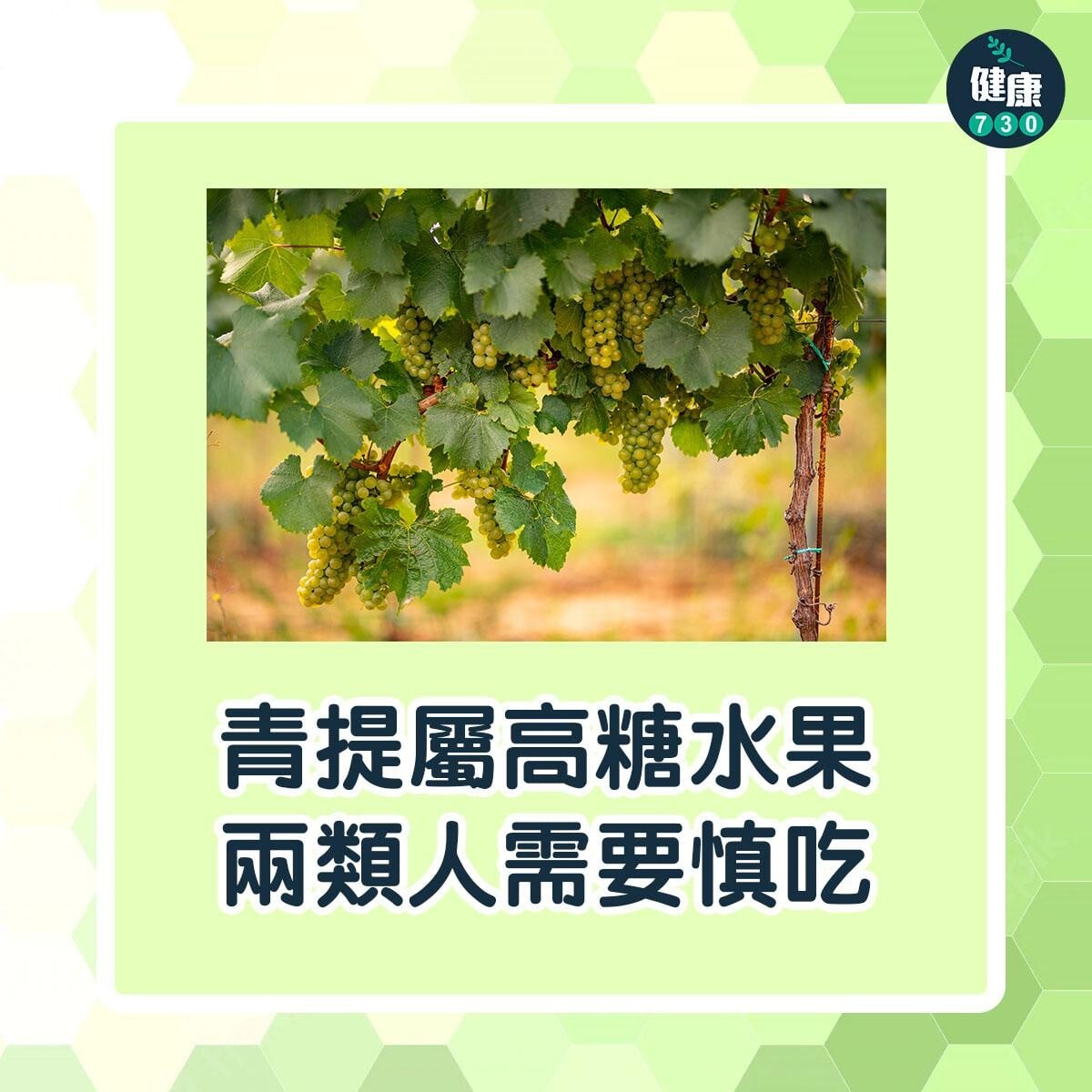 葡萄功效|青提屬高糖水果 兩類人需要慎吃